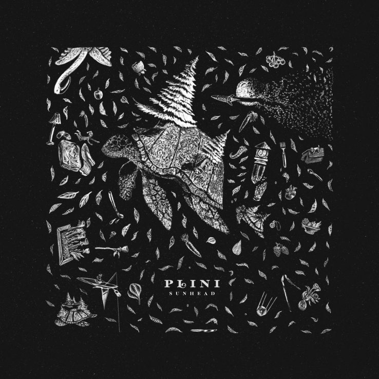 Plini Sunhead EP Review Tour Band Animals As Leaders Salt And Charcoal Kind Flaneur Guitar Handmade Cities Strandberg Selenium Forest